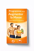 Programme Pour Augmenter La Masse
